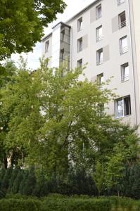 布拉格竞技场酒店的公寓大楼前面有树木