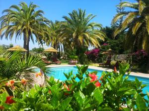 珀彻斯Villa Paraiso - Naturism Optional Adults Only的一个带游泳池和棕榈树的度假村