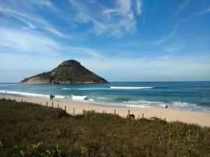 里约热内卢Reserva Pontal Beach的海中带海岛的海滩,有人和狗