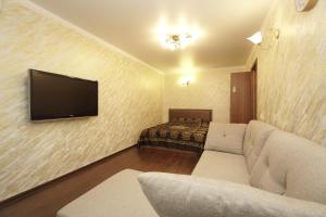 热列兹诺沃德斯克Lenina 1G Apartment的带沙发和平面电视的客厅