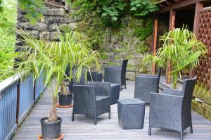 施塔特韦伦夕阳度假屋的甲板上一排椅子和盆栽植物