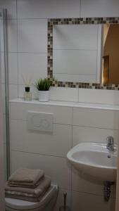 纽伦堡Nürnberg Apart - Business Apartment的白色的浴室设有水槽和镜子