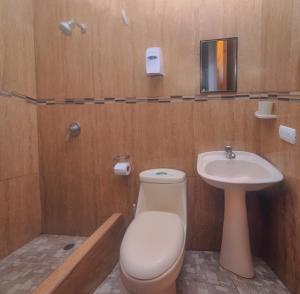 阿约拉港Costa Del Sol的一间带卫生间和水槽的浴室