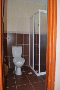 艾瓦勒克Mulka Hotel的一间带卫生间和淋浴的浴室
