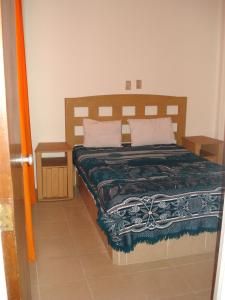 墨西哥城帕特里亚酒店的一间卧室配有一张带毯子和两个枕头的床