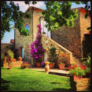 曼恰诺Casale Giacomini的前面有盆栽植物和花卉的房子