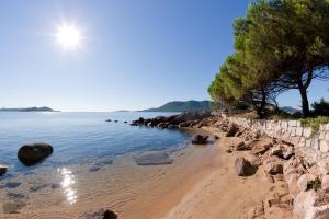 维琪奥港Campo Di Mare的一片拥有岩石、树木和水的海滩