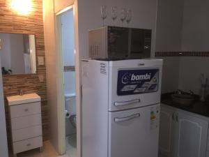 门多萨恩特雷里奥斯奥利沃斯公寓的厨房配有冰箱上方的微波炉