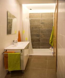 波尔图花园之家度假屋的一间带水槽和淋浴的浴室