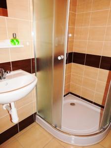 布拉格哈维尔斯卡10号公寓的浴室设有淋浴、水槽和卫生间