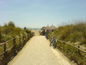 普林希匹纳马尔Il Gamberetto的一群自行车停在海滩附近的小路上