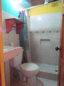 弗洛勒斯米拉多德尔拉戈旅舍的一间带卫生间和淋浴的浴室