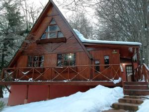 乌斯怀亚Cabañas Bosque Del Faldeo的雪地小木屋