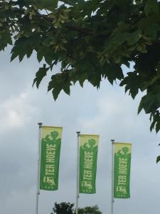 布列登Camping Ter Hoeve的树下杆上的三面绿色和白色旗帜