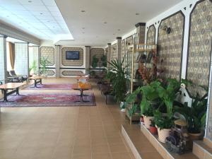 阳光海滩Olymp Hotel的大堂种植了大量的植物,配有桌椅