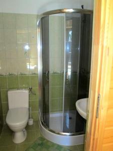 下乌斯奇基Noclegi Pod Małym Królem的带淋浴、卫生间和盥洗盆的浴室