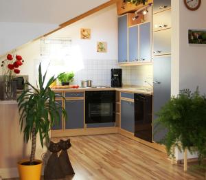 SchönbergFerienwohnung Erhard的厨房配有蓝色橱柜和盆栽植物