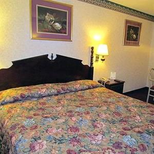 萨姆特萨姆特老鹰汽车旅馆的一间卧室配有一张带花卉床罩的大床