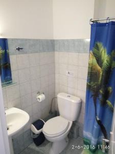 奥林匹亚基·阿克蒂Petridis Hotel的一间带卫生间和水槽的浴室