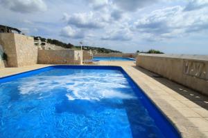 莱乌卡Scogliera del Gabbiano的一座位于房子顶部的大型蓝色游泳池