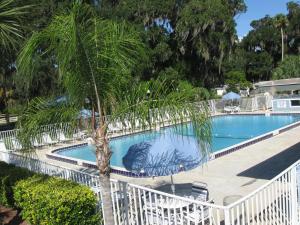 弗拉格勒海滩Bulow Cottage 25的旁边是一座棕榈树游泳池
