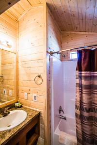 卡顿伍德Verde Valley Canyon View Cottage 6的带浴缸、水槽和淋浴的浴室