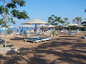 赫尔格达艾菲尔赫尔格达酒店的海滩上有人,沙滩上摆放着椅子和遮阳伞