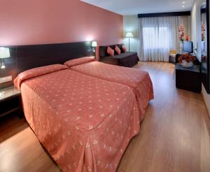 弗拉加卡萨诺瓦酒店的酒店客房设有一张大床和一张沙发。