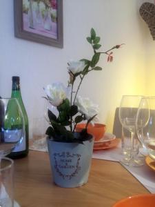 温特贝格Ferienwohnung Bergluft的酒杯放在桌子上的盆栽植物