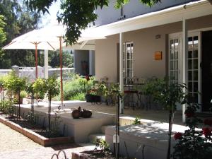斯泰伦博斯巴鲁克宾馆的一座种有植物和遮阳伞的房屋的庭院