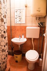 斯科普里The Comfy Hostel的一间带卫生间和水槽的小浴室