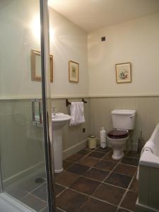 巴利卡斯尔Magherintemple Lodge的一间带卫生间和水槽的浴室