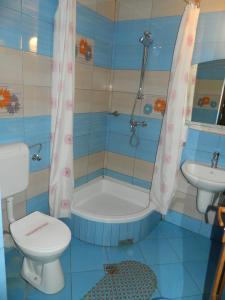 皮特什蒂佩斯尼柯拉旅馆的带浴缸、卫生间和盥洗盆的浴室