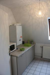 希伯维列Gite Le coeur des Ribeaupierres的厨房配有白色冰箱和微波炉