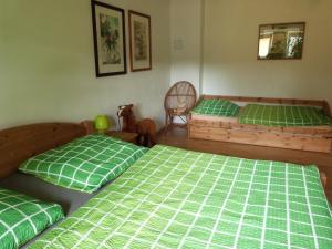 苏希采Apartmán Susice的客房内的两张床,配有绿色床单