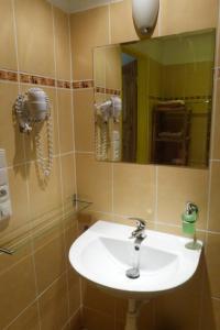 苏希采Apartmán Susice的一间带水槽和镜子的浴室