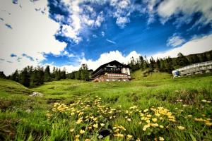 TauplitzalmHotel Alpen Arnika的花草绿地顶上的房屋