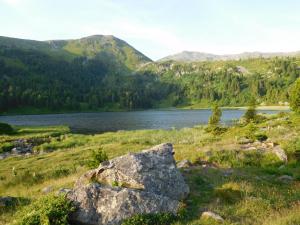 KatschwaldAlmhütte Ödenhübl的水体旁边的一块地里的岩石