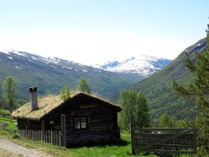 BoverdalenStrind Gard, Visdalssetra的小木屋设有山地草屋顶