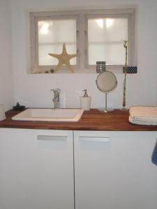 VeberödTrolleberg Bed & Breakfast的一个带水槽和窗户的浴室台面