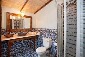达哈布波西米亚公寓的一间带卫生间、水槽和镜子的浴室