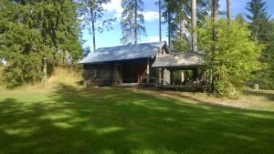 RistiinaLöydön Kartano Camping的绿草丛中的旧小屋