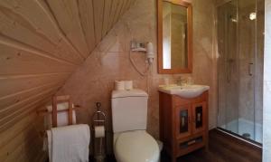 撒拉奥酒店的一间浴室