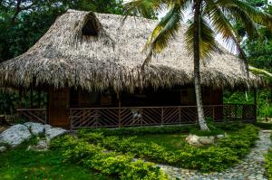 埃尔扎伊诺Tayrona Paradise的相册照片