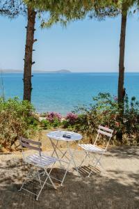 莫奈姆瓦夏Douka Sea Front Residencies的一张桌子和两把椅子坐在海边