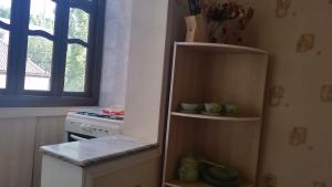 苦盏Anis 1的厨房配有冰箱和炉灶,设有窗户。