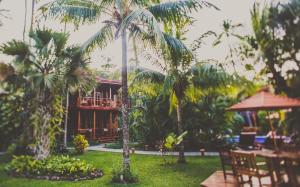 坦波Tambor Tropical Beach Resort- Adults Only的庭院里种着棕榈树的度假胜地