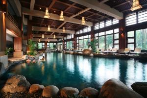 都江堰青城豪生国际酒店内部或周边的泳池