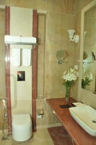 纳威孟买孟买皇家郁金香酒店的一间带水槽、卫生间和镜子的浴室