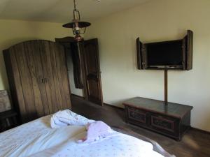 弗兰季谢克矿泉镇Pension Kamenný Dvůr的一间卧室配有一张床和一台平面电视